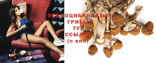 MESCALINE Аркадак