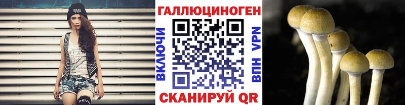 Псилоцибиновые грибы Psilocybine cubensis  купить наркотик  Алупка 